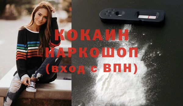 стаф Арсеньев