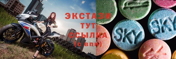 стаф Арсеньев