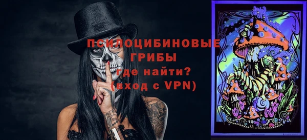 стаф Арсеньев