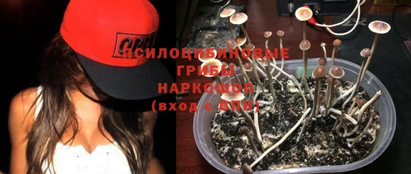 бошки Аркадак