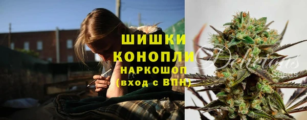 стаф Арсеньев